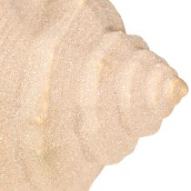Prodotto Decorazione a conchiglia in ceramica marittima blu beige 16,5×11×9,5cm 2 pz
