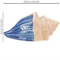 Prodotto Decorazione a conchiglia in ceramica marittima blu beige 16,5×11×9,5cm 2 pz