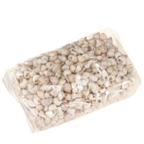 Prodotto Umachi di Cozze 500g