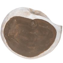 Prodotto Contenitore decorativo a forma di lumaca per decorazioni murali in stile marittimo e naturale, grigio, 21 cm