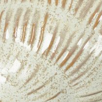 Prodotto Ciotola in ceramica con motivo a conchiglia per una decorazione elegante nel soggiorno, 23 cm