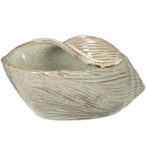 Prodotto Ciotola in ceramica con motivo a conchiglia per una decorazione elegante nel soggiorno, 23 cm
