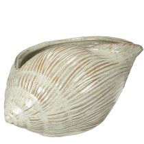 Prodotto Ciotola in ceramica con motivo a conchiglia per una decorazione elegante nel soggiorno, 23 cm
