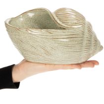 Prodotto Ciotola in ceramica con motivo a conchiglia per una decorazione elegante nel soggiorno, 23 cm