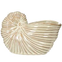 Prodotto Vaso da fiori in ceramica con motivo a chiocciola per composizioni vegetali speciali, 21 cm