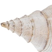 Prodotto Forma decorativa a conchiglia per un elegante arredo marittimo, 44 cm