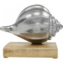 Prodotto Scocca in metallo, decorazione marittima per posizionare argento, colori naturali H15cm L18,5cm