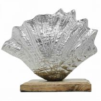 Prodotto Conchiglia da allestire, decoro marittimo in metallo con base in legno argento, naturale 16×19cm