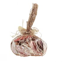 Prodotto Decorazione conchiglia vere conchiglie diversi tipi 300g