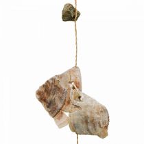 Prodotto Ghirlanda di conchiglie con pietre natura 100cm