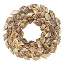Ghirlanda di conchiglie per appendere la decorazione di conchiglie di cocco marrone Ø24cm