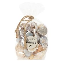 Prodotto Lumache e conchiglie - Elementi decorativi marini per abbellire la tua stanza in modo unico - 500 g