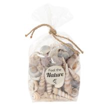 Prodotto Conchiglie marini Decorazioni naturali per arredamento d'interno elegante e fai da te 500g