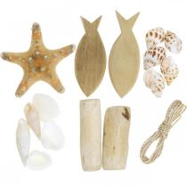 Set assortito di decorazioni in legno con conchiglie naturali marittime fai da te