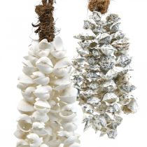 Conchiglie collana conchiglia ciondolo conchiglia deco marittimo 2pz