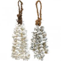 Conchiglie collana conchiglia ciondolo conchiglia deco marittimo 2pz