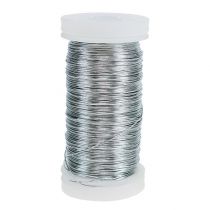Prodotto Filo di mirto zincato argento 0,37 mm 100 g