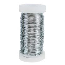Prodotto Filo di mirto argento zincato 0,37mm 100g