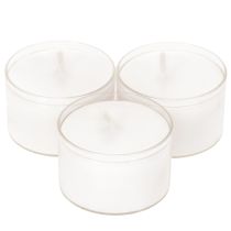 Prodotto Luci notturne a forma di lumino, bianche, in vassoio di plastica, durata 8 ore, 50 pezzi