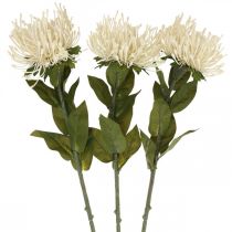 Puntaspilli fiori artificiali esotici protea leucospermum crema 73cm 3 pezzi