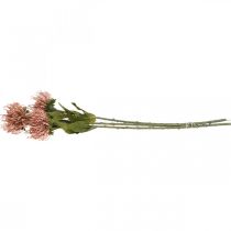 Prodotto Puntaspilli fiore autunnale artificiale Protea Rosa Leucospermum 73 cm 3 pezzi