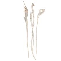 Prodotto Natraj Antler Wood Mix Bianco Lavato 10 pz