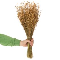 Prodotto Erbe di lino essiccate naturali per composizioni floreali secche Linum Natur 60cm 180g