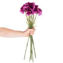 Prodotto Garofani artificiali, bicolore, stelo lungo 56 cm, mazzo da 8