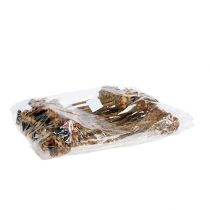 Prodotto Nerifolia Germoglio 25 pz