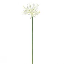 Prodotto Nerine Guernsey Giglio Fiore Artificiale Bianco Giallo Ø15cm L65cm