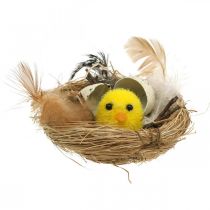 Addobbo pasquale Pulcino nel nido con piume Addobbo da tavola Nido pasquale Ø9cm