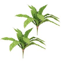 Prodotto Piante artificiali di felce nido in verde 5,5×22cm 2pz