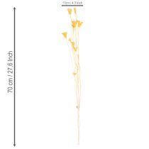 Prodotto Composizione di fiori secchi di Nigella per un uso duraturo. Elegante e accattivante. 70 cm, 50 g.