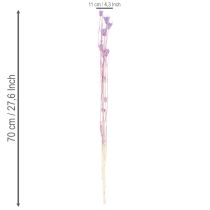 Prodotto Bouquet di fiori secchi di Nigella, uso decorativo nel soggiorno, crea un'atmosfera unica, 70 cm, 50 g