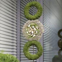 Prodotto Ghirlanda ad anelli floreali in schiuma H4cm Ø30cm 4 pz