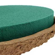 Prodotto OASIS® Biolit® cuore piccolo 25 cm 4 pz