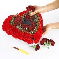 Prodotto OASIS® Biolit® cuore piccolo 25 cm 4 pz