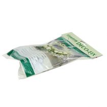 Prodotto OASIS® Deco-Fix 10 pz