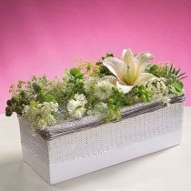 Prodotto OASIS® Deco da tavolo Mini schiuma floreale 8 pz