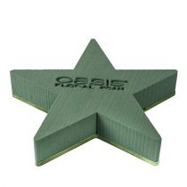 Prodotto Stella in schiuma floreale bagnata per composizioni 25 x 25 x 4,5 cm
