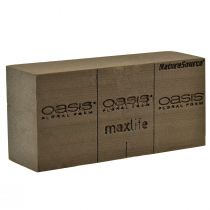Oasis NatureSource Maxlife Floral Foam Brick Marrone 23×11×7.5cm 1pz