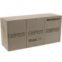 OASIS® BIOLIT® NatureSource mattone schiuma floreale 23cm×11cm×7cm 10 pezzi