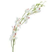 Prodotto Orchidea Mokara Bianco 92cm 3 pezzi