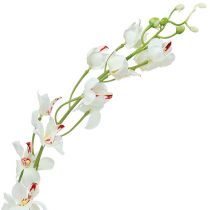 Prodotto Orchidea Mokara Bianco 92cm 3 pezzi
