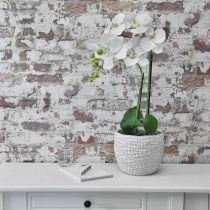 Prodotto Fioriera in cemento bianco vintage vaso di fiori bianco a nido d&#39;ape H17,5 cm Ø18,5 cm