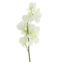 Crema di orchidee artificiali 50 cm 6 pezzi