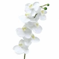 Prodotto Orchidea artificiale fiore artificiale bianco Ø6,5-8 cm 77 cm