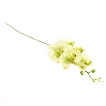 Prodotto Orchidea Phalaenopsis artificiale giallo verde 85 cm
