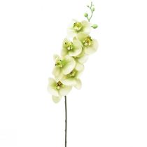 Prodotto Orchidea Phalaenopsis artificiale giallo verde L83cm