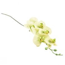 Prodotto Orchidea Phalaenopsis artificiale giallo verde L83cm